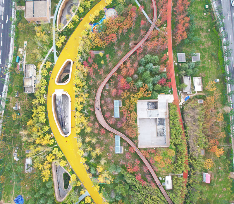 幸福林帶林梢棧道航拍 幸福林帶林梢棧道航拍