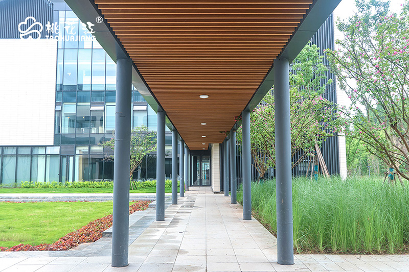 天府國際藝術(shù)城 天府國際藝術(shù)城