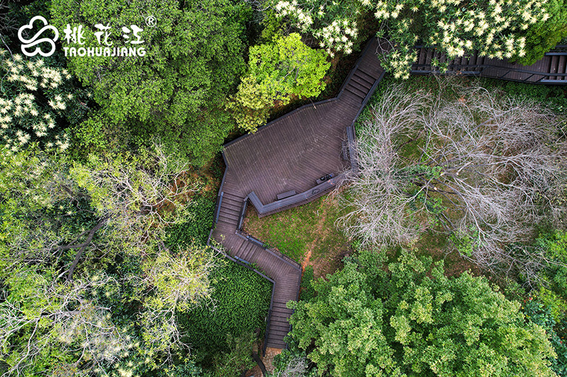 竹木棧道地板 竹木棧道地板