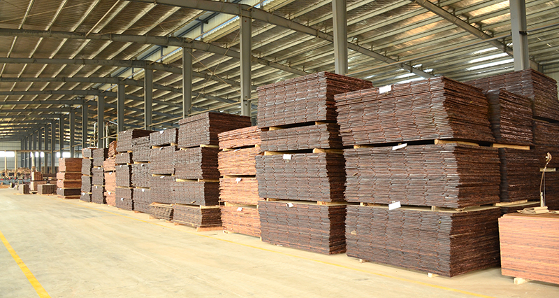 坯板工廠 坯板工廠